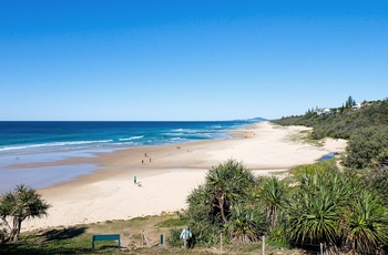 Lækker strand i Noosa National Park, Queensland