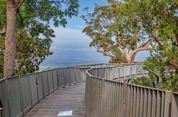 Nurim Circuit Boardwalk, en 500 m gangbro på toppen af Mt Archer nær Rockhampton, Queensland