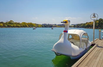 Vandcykel i søen midt i Ohori Park, Fukuoka i Japan