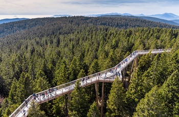 Pohorje Treetop Walk - Imponerende udsigtstårn og ganbro i trætoppene, Pohorje-bjergene i Slovenien