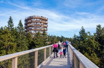 Pohorje Treetop Walk - Imponerende udsigtstårn og ganbro i trætoppene, Pohorje-bjergene i Slovenien