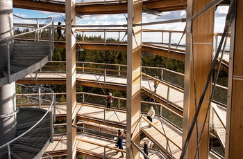 Pohorje Treetop Walk - Imponerende udsigtstårn og ganbro i trætoppene, Pohorje-bjergene i Slovenien