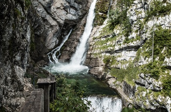 Gangbro mod Savica-vandfaldet i Triglav National Park, Slovenien