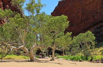 Simpsons Gap i West MacDonnell Ranges - NT i Australien