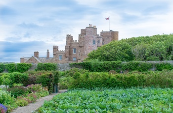 Skotland - the walled garden i forgrunden af Castle of Mey