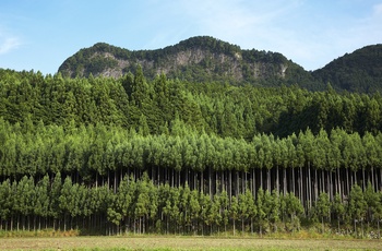 Soni Higlands om sommeren - Nara i Japan