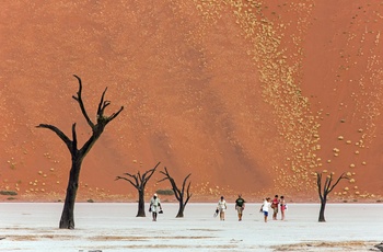 Turister på opdagelse i Deadvlei med døde træer i Sossusvlei, Namib-Naukluft National Park, Namibia