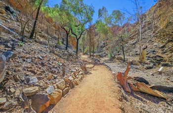 Sti mod kløften Standley Chasm - Northern Territory