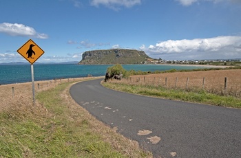 På vej mod kystbyen Stanley og The Nut, Tasmanien