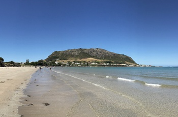 Strand ved kystbyen Stanley og The Nut på Tasmanien