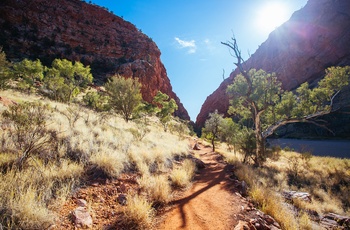 Sti til Simpsons Gap, West MacDonnell Ranges - NT i Australien