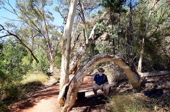 Mand hviler sig på vej til Simpsons Gap, West MacDonnell Ranges - NT i Australien