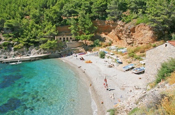 Strand på øen og nationalparken Mljet i Kroatien