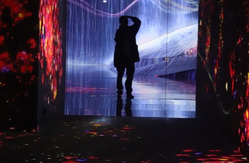 Digital kunstmuseum teamLaB Borderless i Tokyo, Japan