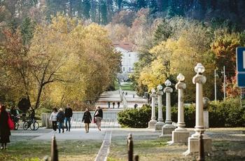 Den brede Jakopic-promenade i Tivoli Park, Ljubljana i Slovenien