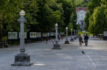 Den brede Den brede Jakopic-promenade i Tivoli Park, Ljubljana i Slovenien