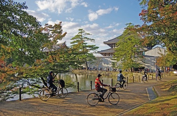 Unge mennesker cykler ved i Todai-ji Temple i Nara, Japan