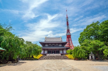 Zojo-ji Temple og Tokyo Tower - Japan