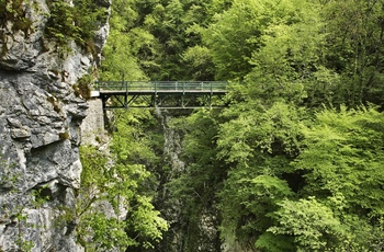 Tolmin-kløften og broen Devil Bridge i Slovenien