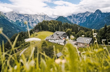 Turistgård langs Solcava Panoramic Road i Slovenien