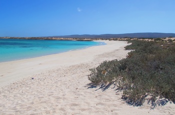 Stranden Turquoise Bay i Cape Range National Park - Western Australia