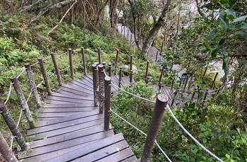 En af mange vandreruter i Tsitsikamma, Garden Route National Park - Sydafrika