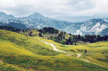 Udsigt over Velika planina - det store græsningsplateau i Slovenien - Foto: Karolina Lesniak Unsplash