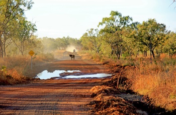 Gibb River Road - vej gennem Kimberly i Western Australia