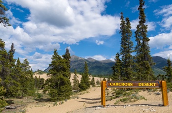 Carcross Desert i Yukon kaldes verdens mindste ørken