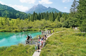 Trægangbro ved søen i Zelenci Naturreservat i Slovenien