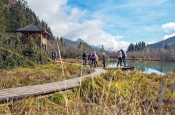 Trægangbro til udsigtstårnet i Zelenci Naturreservat i Slovenien