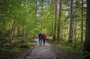 Vandresti i Zelenci Naturreservat i Slovenien