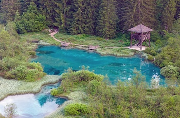 Udsigtstårn ved søen i Zelenci Naturreservat i Slovenien