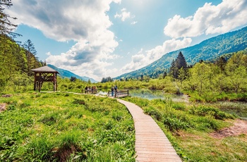 Trægangbro til udsigtstårnet ved søen i Zelenci Naturreservat i Slovenien