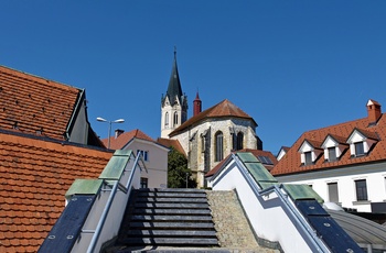 Katedralen i Novo mesto i Slovenien